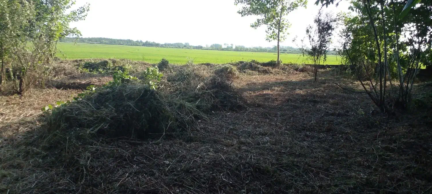 علفتراشی با دستگاه|خدمات باغبانی و درختکاری|لاهیجان, یوسف آباد|دیوار