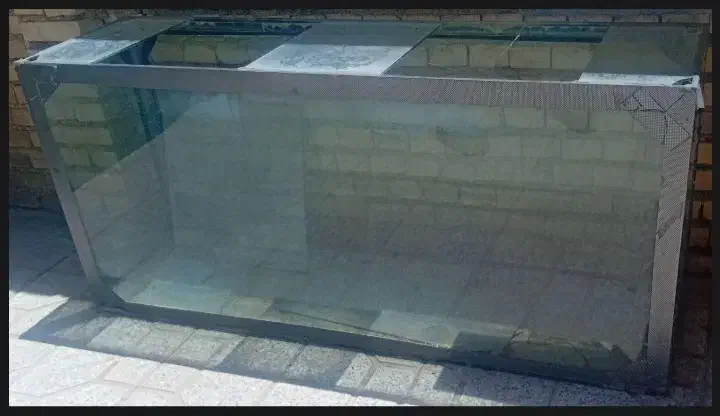 آکواریوم|ماهی|مبارکه, |دیوار