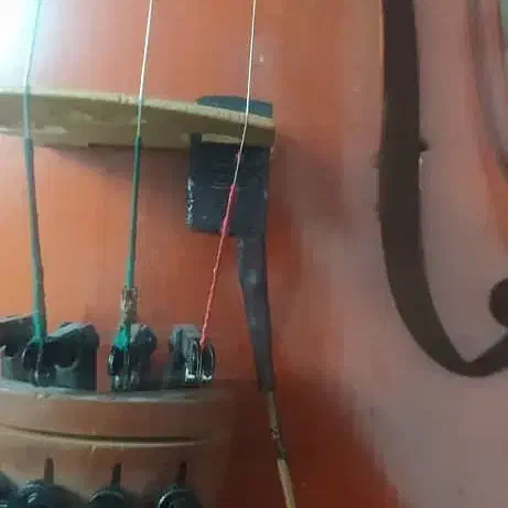 پیکاپ ویولن|ویولن|تبریز, |دیوار