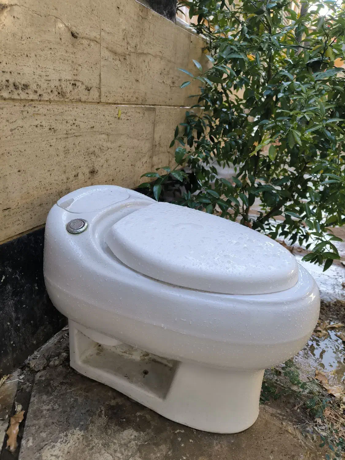 فروش سنگ توالت فرنگی در حد نو|لوازم سرویس بهداشتی|شیراز, کلاهدوز|دیوار