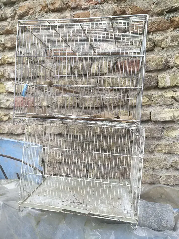 قفس پرنده|لوازم جانبی حیوانات|کامیاران, |دیوار