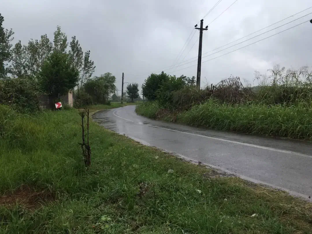 فروش ویلا و زمین|فروش خانه و ویلا|رشت, بیجارپس|دیوار