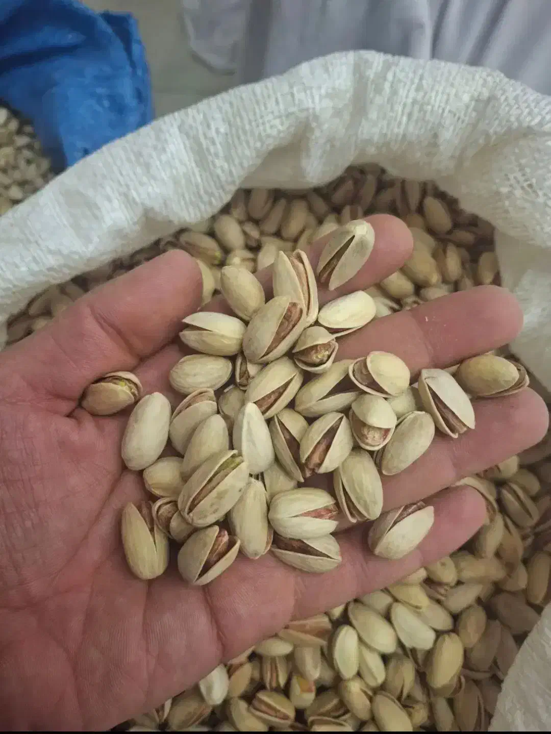 ۱۲۰۰|خوردنی و آشامیدنی|کویرات, |دیوار