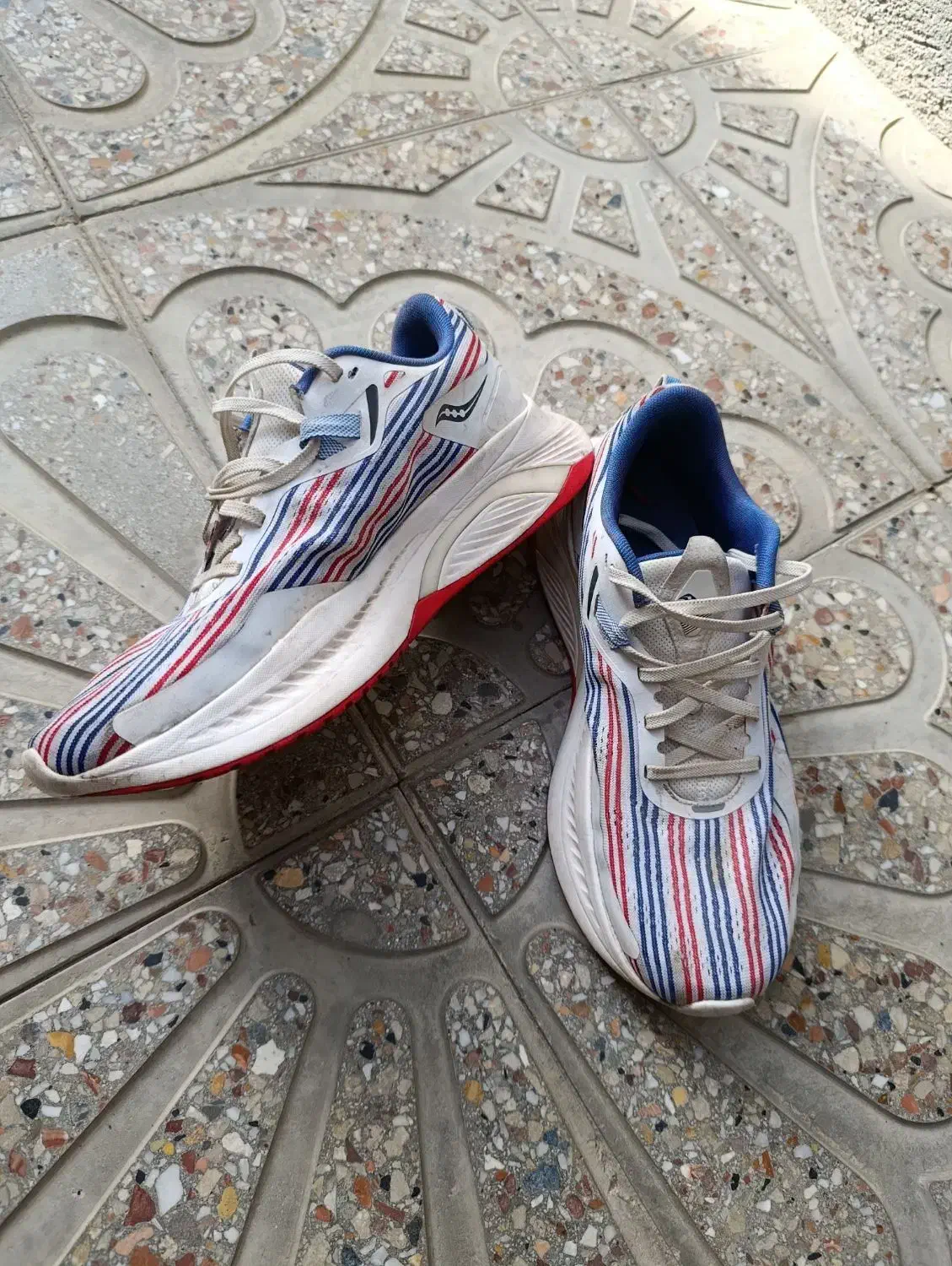 کفش ساکونی اصل|کیف، کفش، کمربند|فریمان, |دیوار