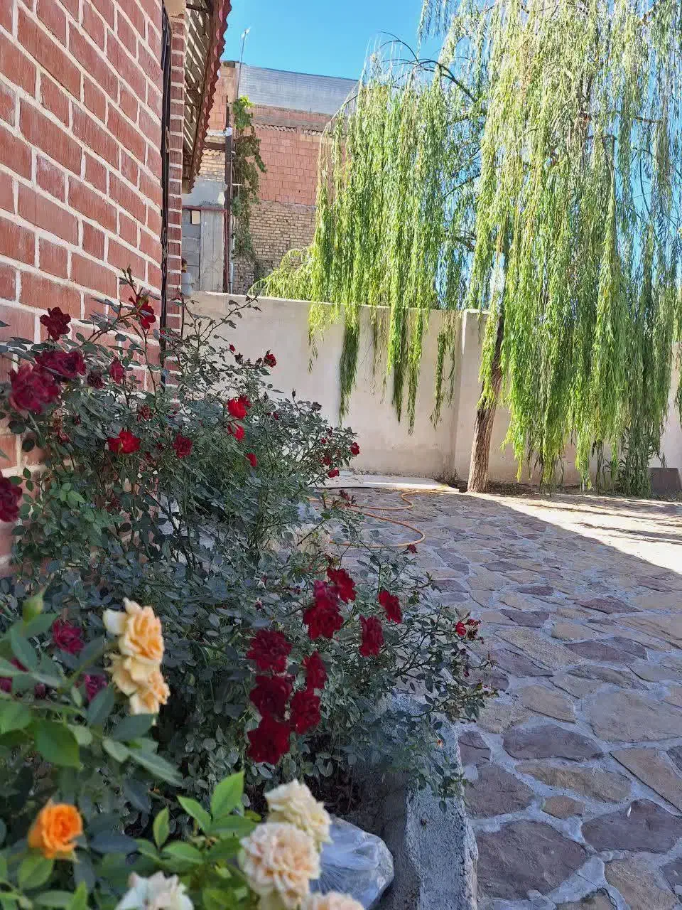 اجاره کوتاه مدت باغ ویلا دو خوابه|اجارهٔ کوتاهمدت ویلا و باغ|بجنورد, |دیوار