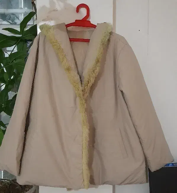 کاپشن بادی دخترونه|لباس|مشهد, نیزه|دیوار