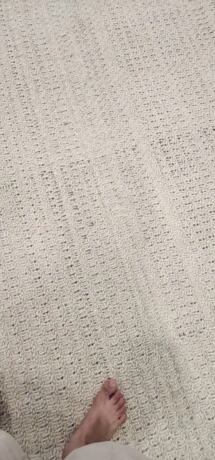 فرش|فرش|فولادشهر, C5|دیوار