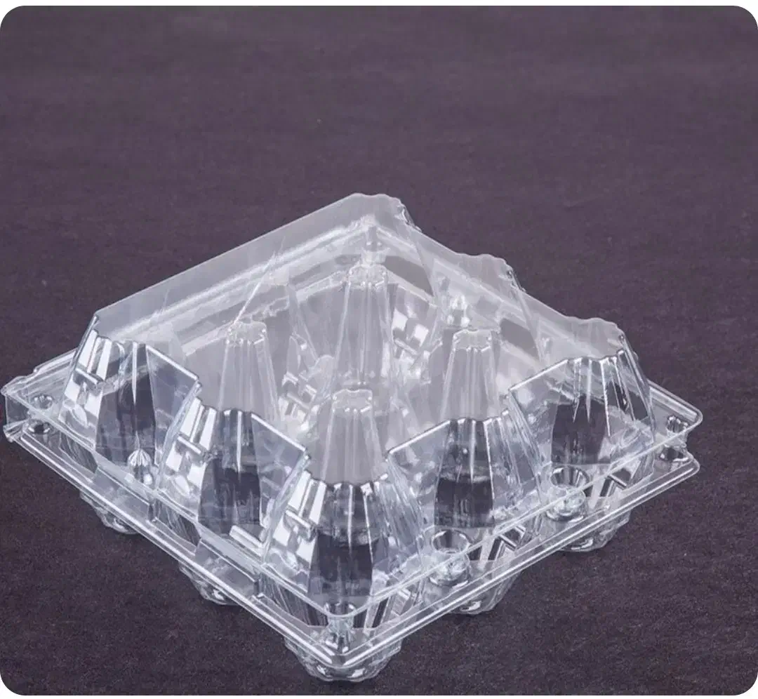 شانه تخم مرغ درب دار|ظروف نگهدارنده، پلاستیکی، یک‌بارمصرف|رشت, دیلمان|دیوار