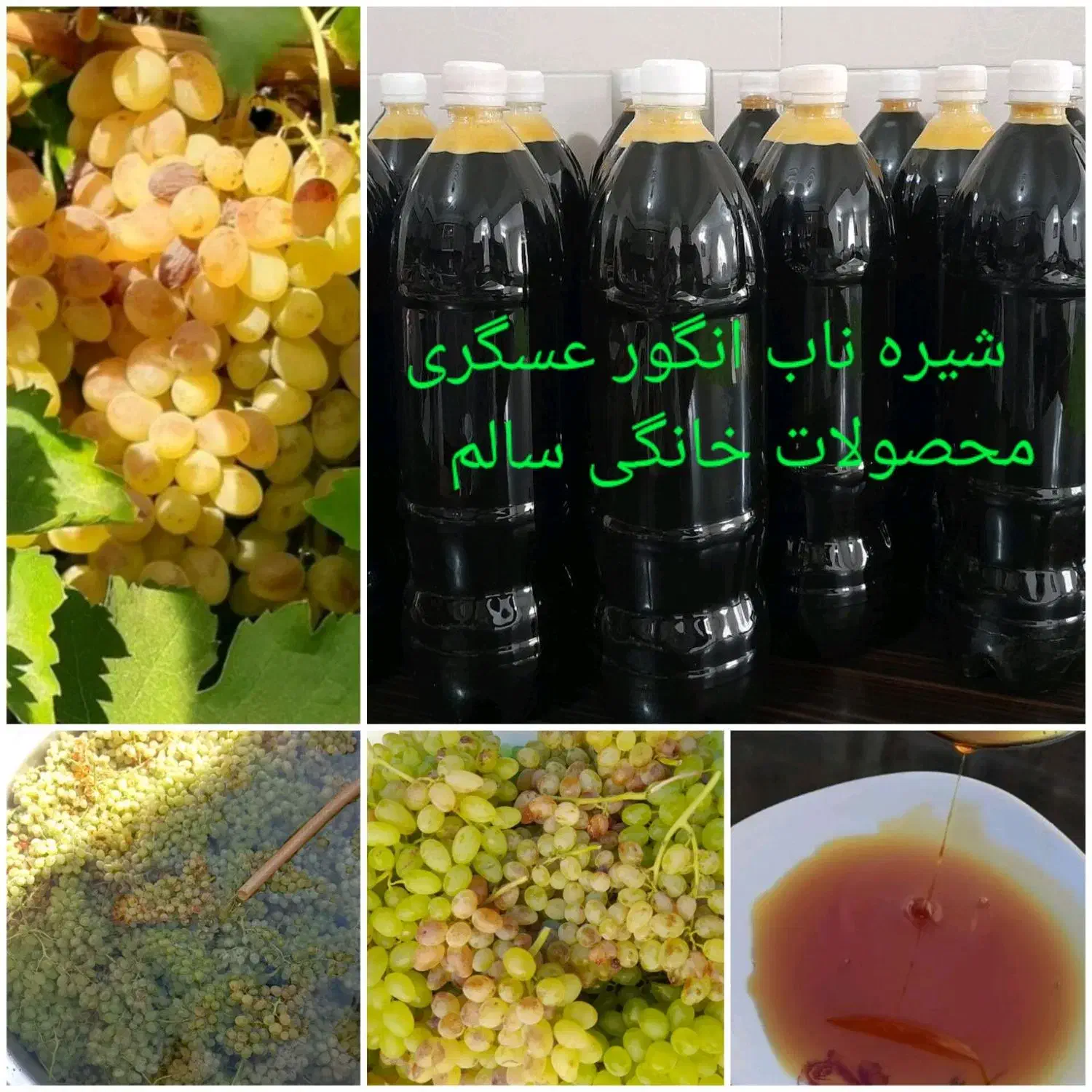 رب خونگی، شیره انگور ،کشمش، آلو ،گلاب و عرقیات|خوردنی و آشامیدنی|نیشابور, دربقاضی|دیوار