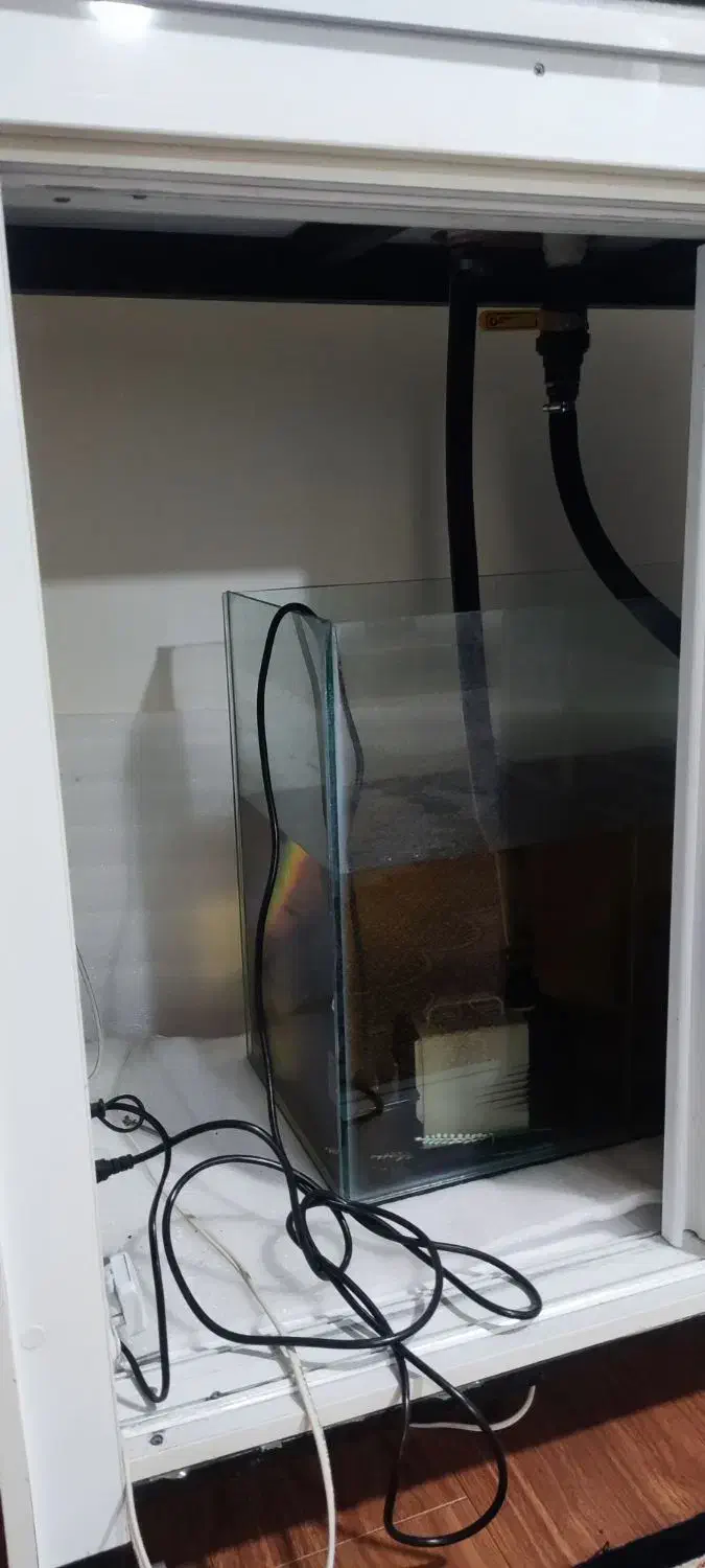 آکواریوم بزرگ مخصوص خاص پسندا|ماهی|ارومیه, |دیوار