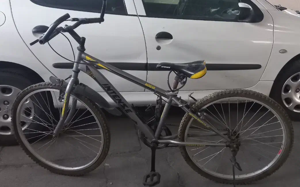 دوچرخه اینتنزی اصل|دوچرخه، اسکیت، اسکوتر|بیرجند, |دیوار