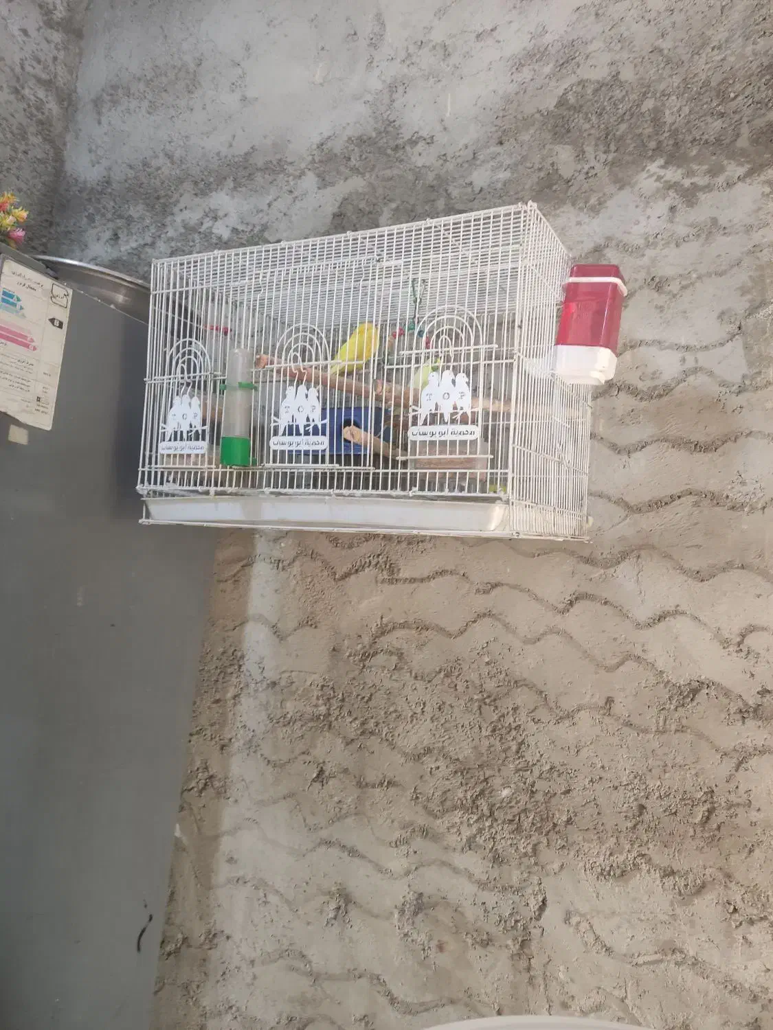 قفس فروش|عمدهفروشی|چابهار, |دیوار