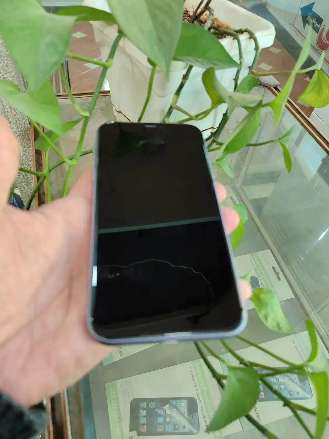 iphon 11|موبایل|جوانرود, |دیوار