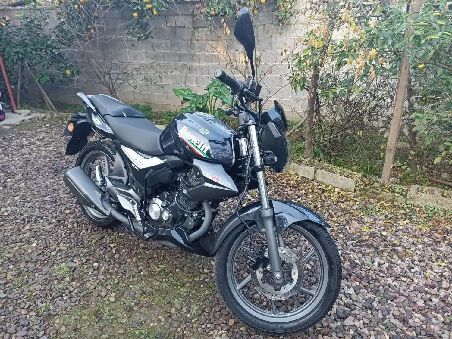 بنلی ۱۵۰  مدل ۱۴۰۲|موتورسیکلت|شلمان, |دیوار