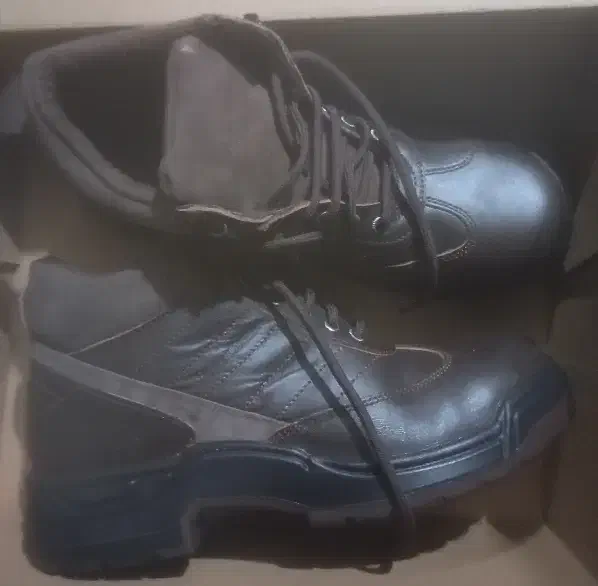 کفش|کیف، کفش، کمربند|دوگنبدان, |دیوار