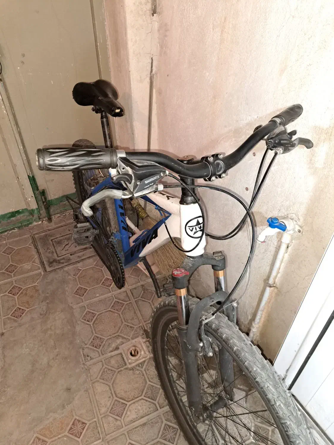 دوچرخه ویوا|دوچرخه، اسکیت، اسکوتر|تبریز, |دیوار