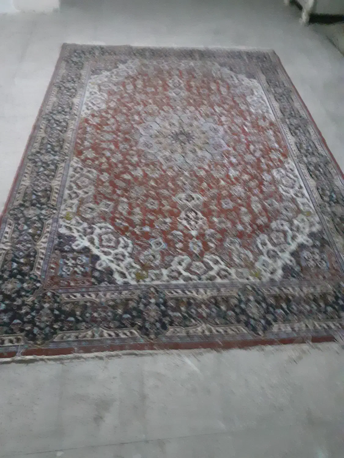 فرش ۶متری بدون پارگی و سالم سالم|فرش|رشت, معلولین|دیوار