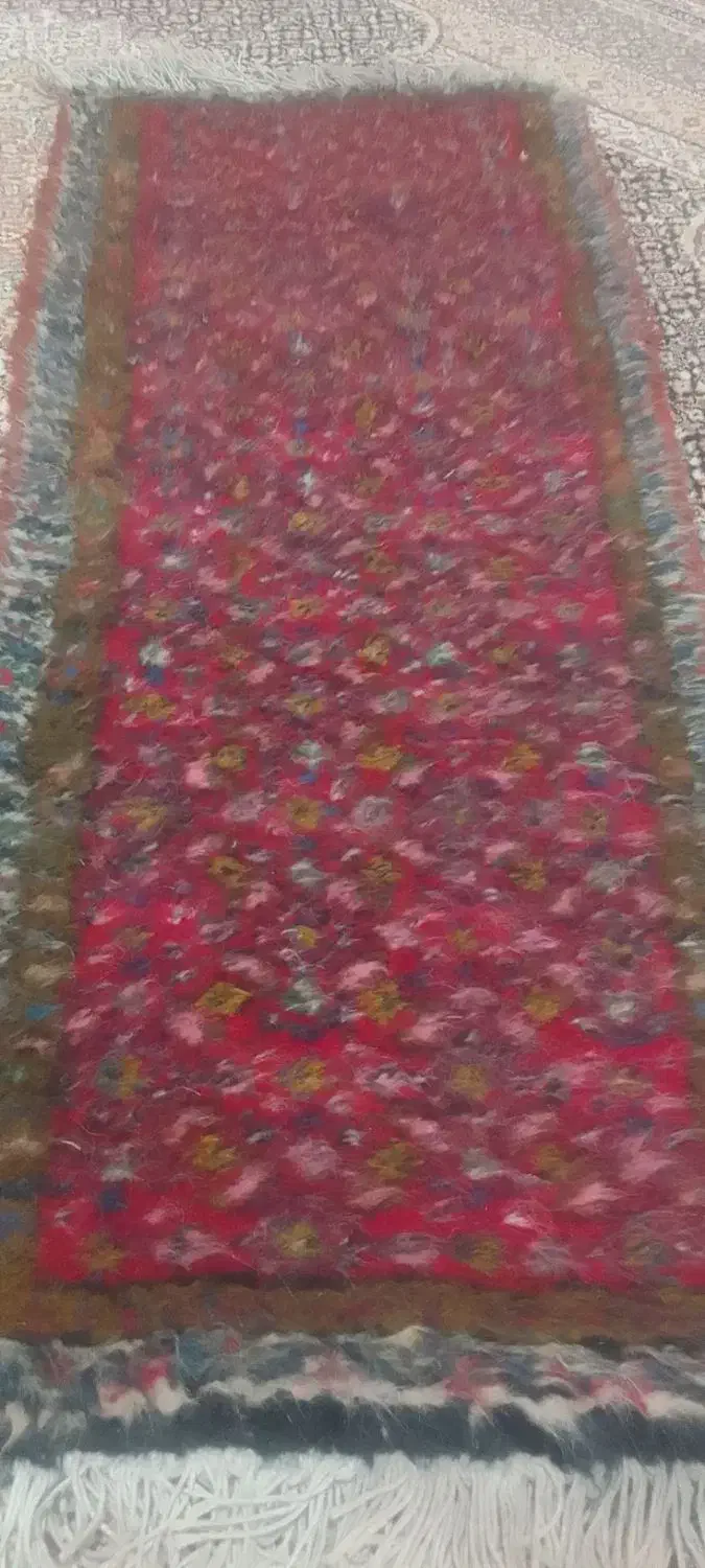 فرش طبعی ماهی|فرش|پارسآباد, |دیوار