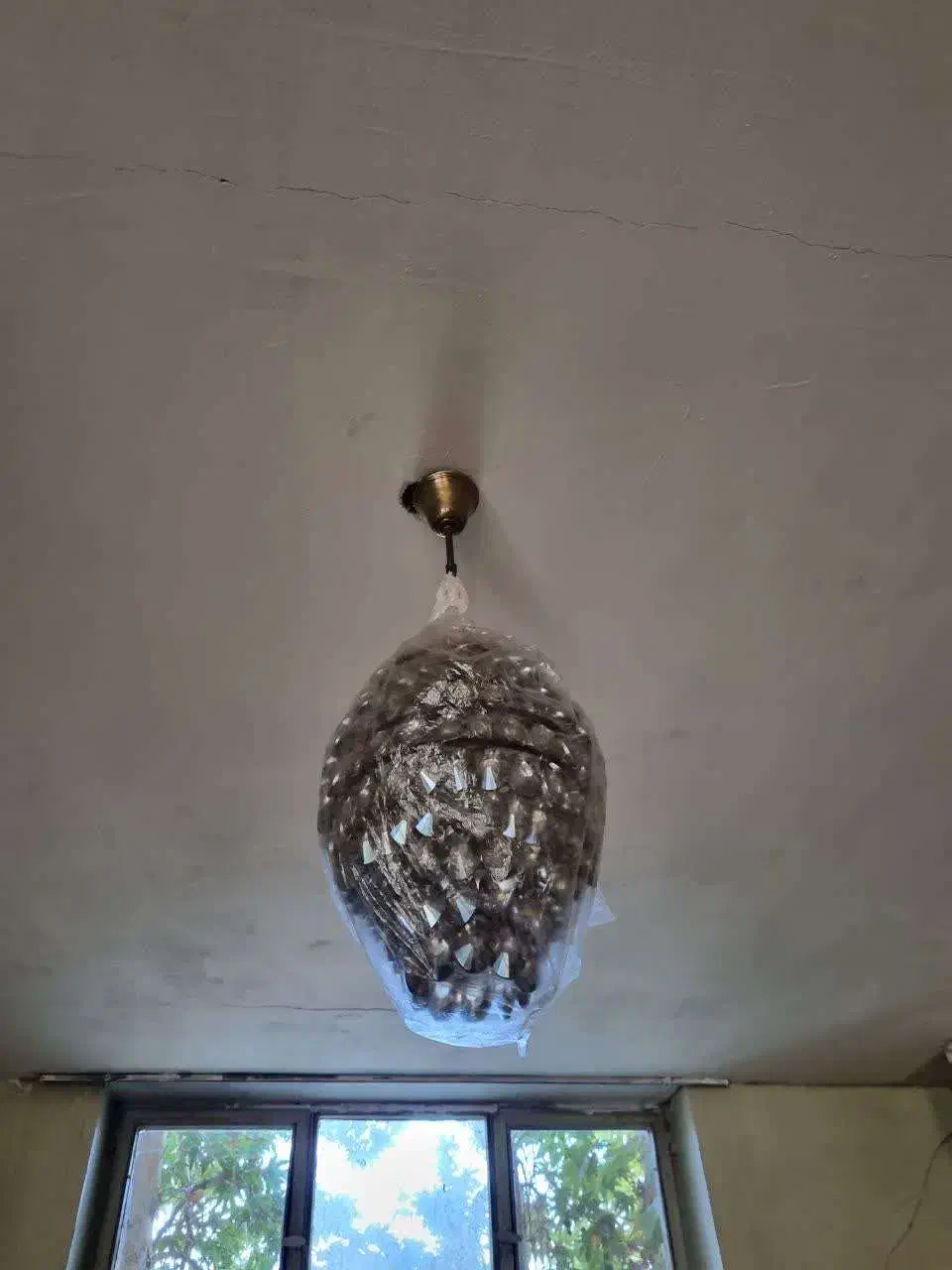 یک جفت لوستر اشکی|لوستر و چراغ آویز|اصفهان, بهارستان|دیوار