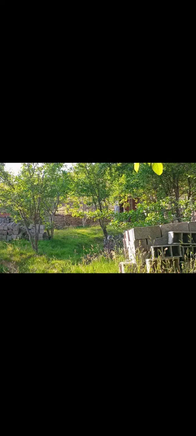 فروش زمین ییلاقی شالینگچال|فروش زمین و ملک کلنگی|گلوگاه بابل (گلیا), |دیوار