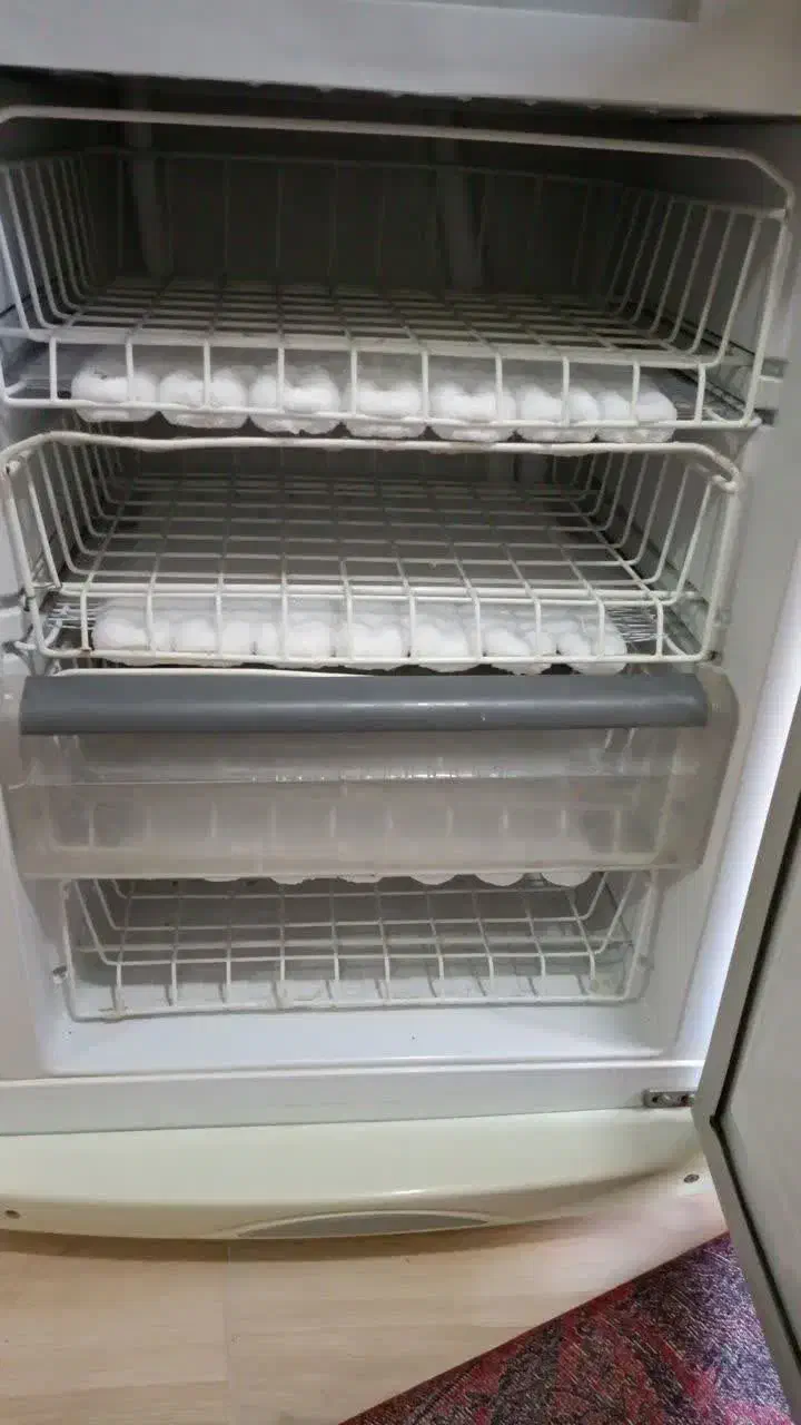 یخچال سیلوان|یخچال و فریزر|مشهد, رضاییه|دیوار