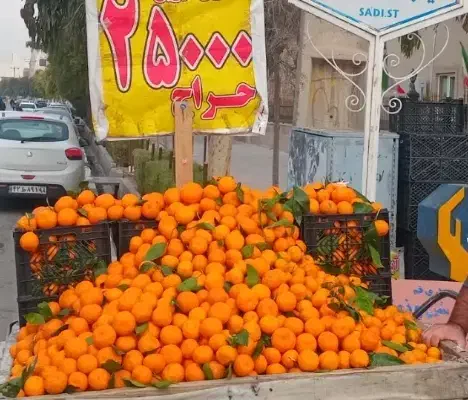 گاری چرخ فنری|ابزارآلات|قم, سراجه (۱۵ خرداد)|دیوار