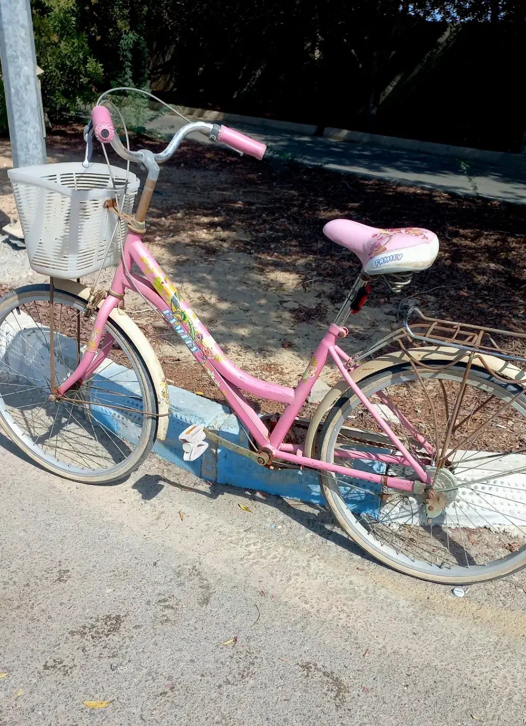 دوچرخه سایز ۲۴ کاملا سالم|دوچرخه، اسکیت، اسکوتر|کیش, |دیوار