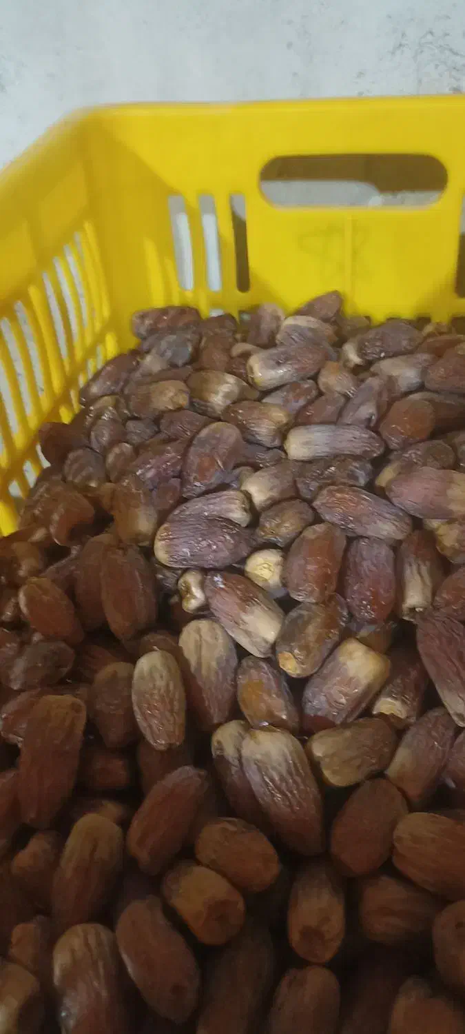 مجول|خوردنی و آشامیدنی|شیراز, منطقه هوایی شهید دوران|دیوار