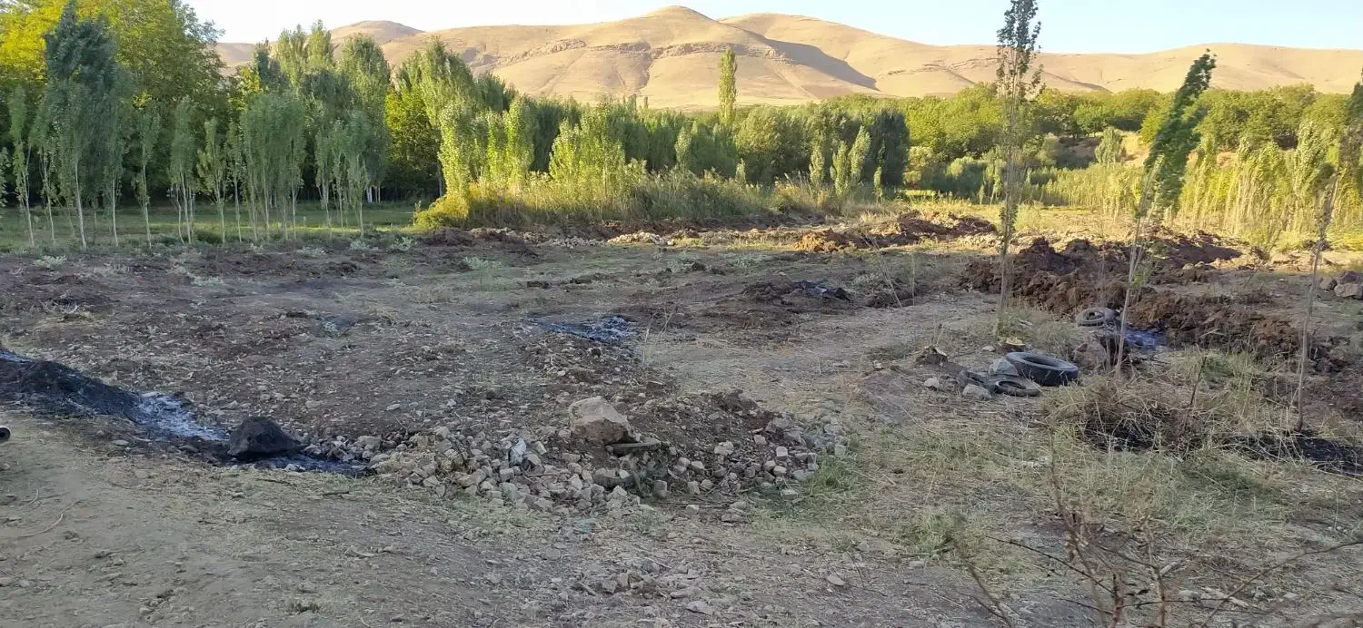 زمین باغ|فروش دفتر صنعتی، کشاورزی، تجاری|کنگاور, |دیوار
