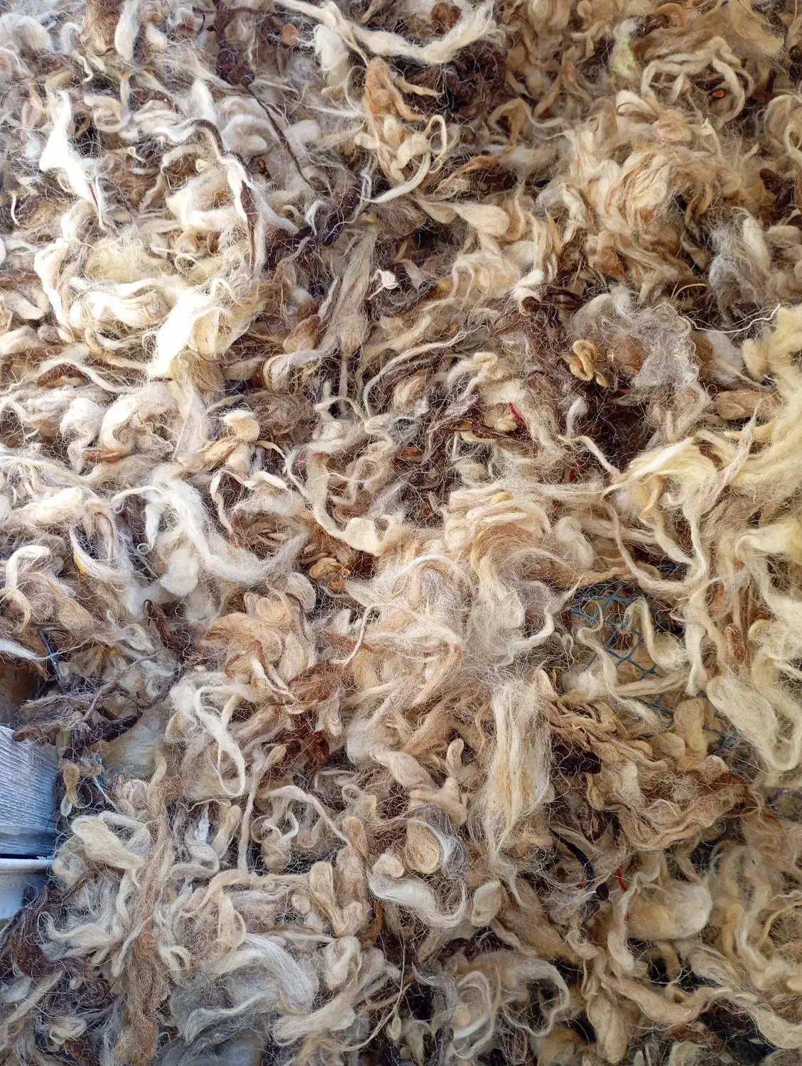 پشم گوسفندی|رختخواب، بالش، پتو|کرج, حیدرآباد|دیوار