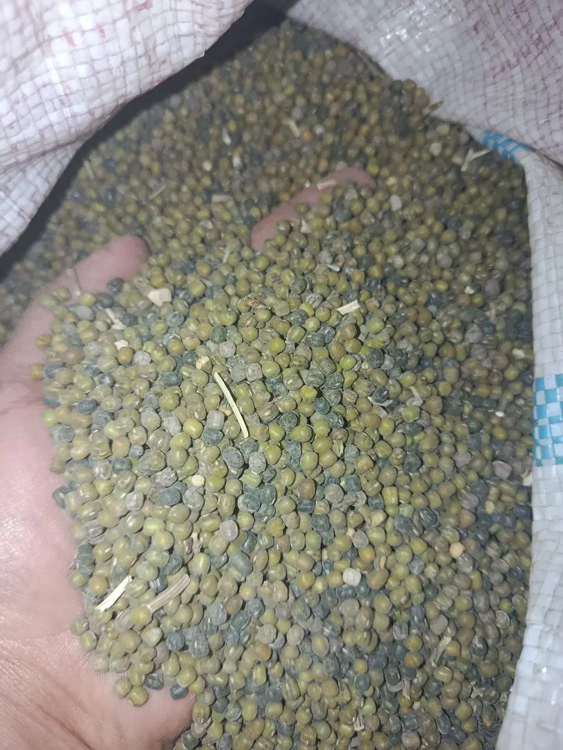 ماشک محلی|عمدهفروشی|فیروزآباد (فارس), |دیوار