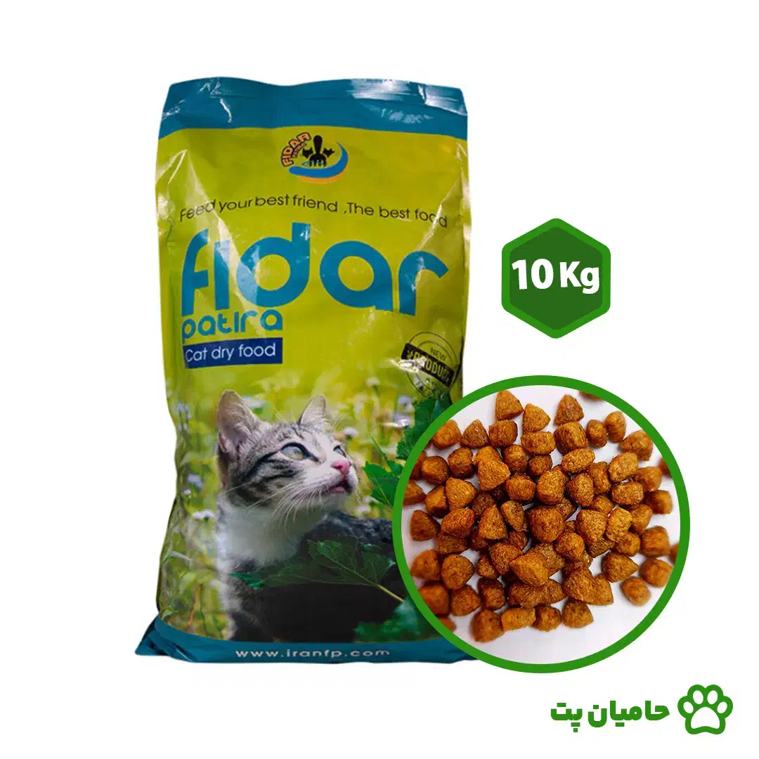 فیدار و خاک گربه|گربه|بیرجند, |دیوار