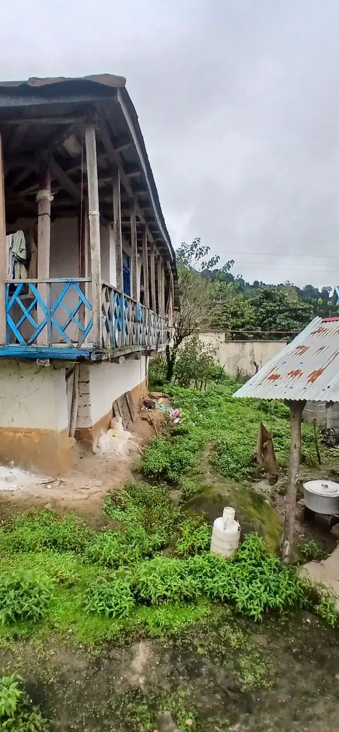 خانه سنتی تالار دار جنگلی ویو دار|فروش خانه و ویلا|احمدسرگوراب, |دیوار