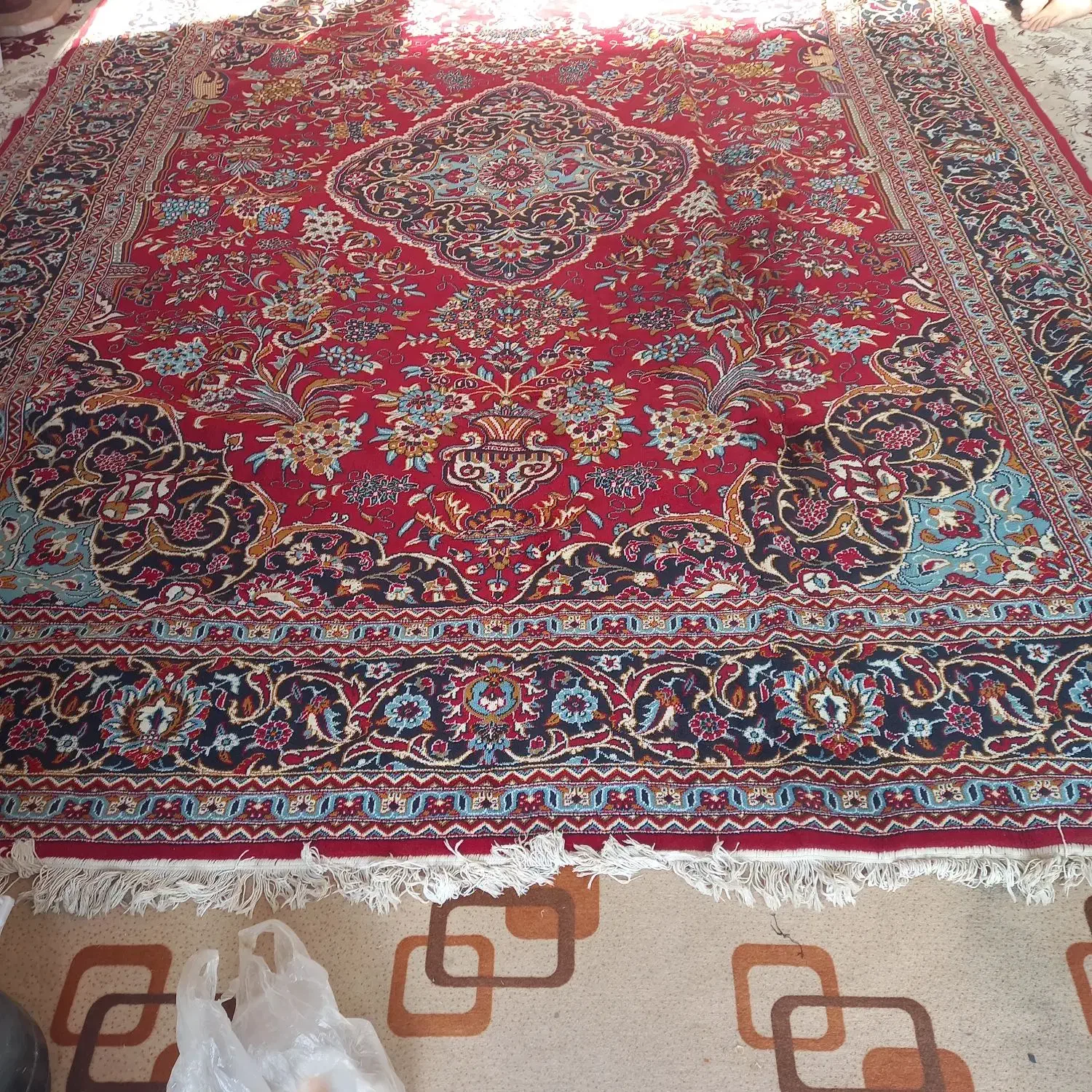 قالی فروشی|فرش|بجنورد, |دیوار