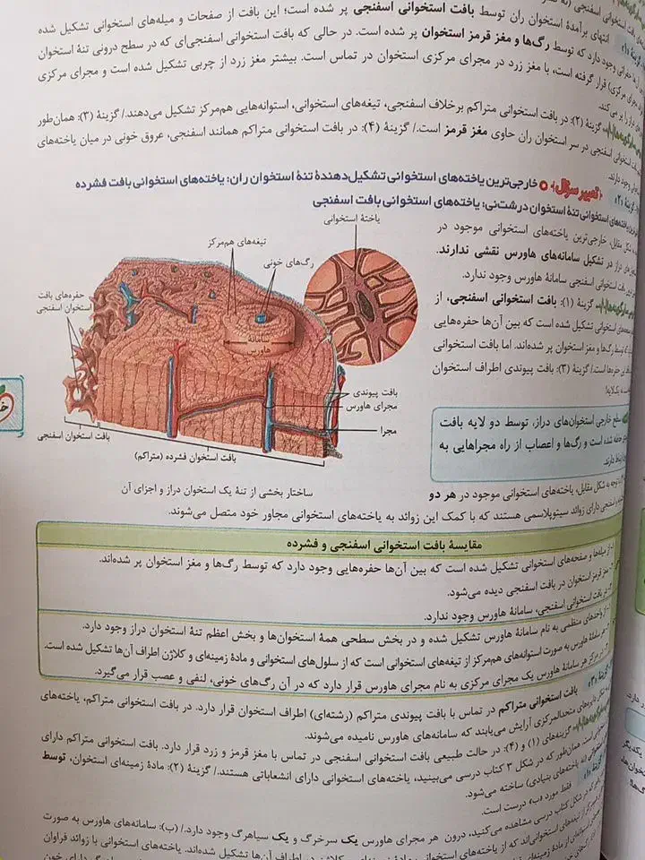 زیست جامع خیلی سبز|کتاب و مجله آموزشی|کرمانشاه, |دیوار