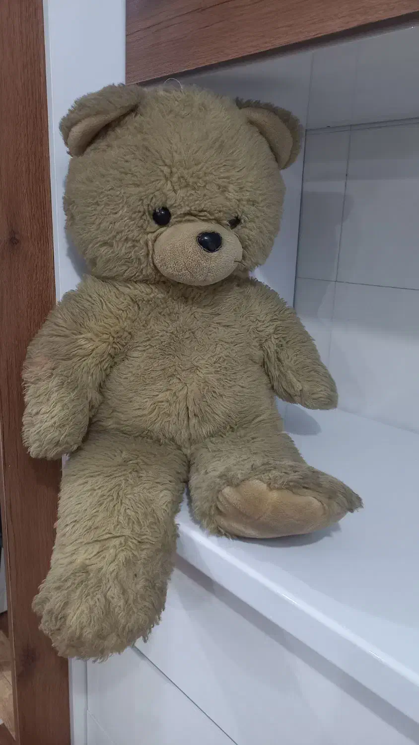 خرس عروسک اسب الاکلنگی|اسباب‌بازی بچه|آبپخش, |دیوار