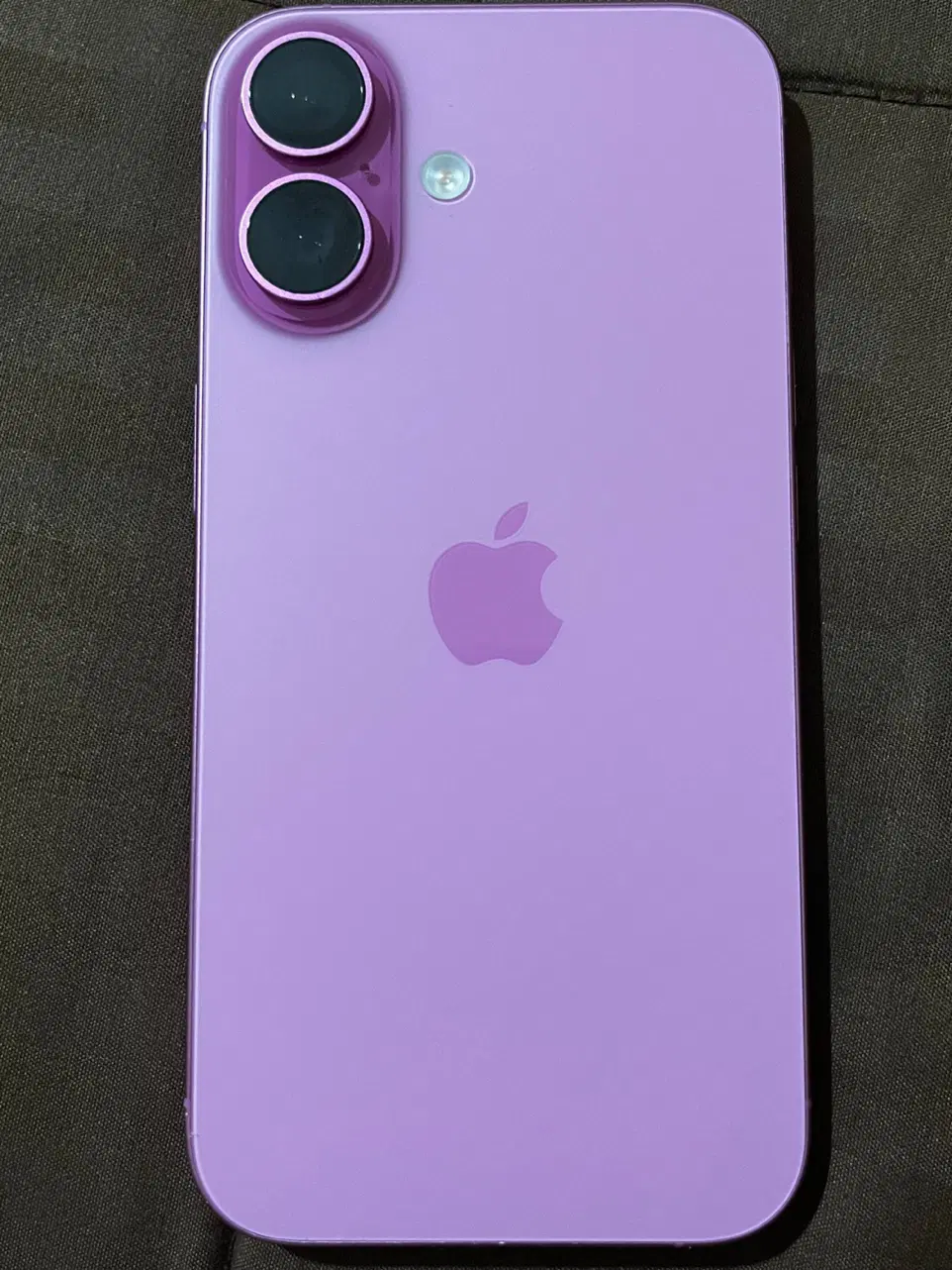 Iphone 16 256|موبایل|شیراز, شیشه‌گری|دیوار