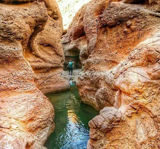 گروه طبیعت گردی|رویداد ورزشی|کرج, گوهردشت|دیوار