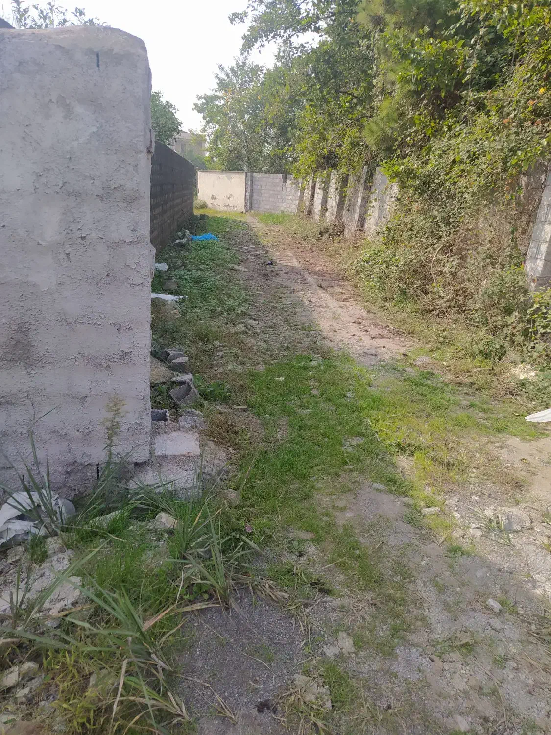 فروش زمین630 متری پلاک اول ساحل زیبای چمخاله|فروش زمین و ملک کلنگی|چاف و چمخاله, |دیوار