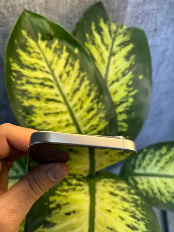 Iphone 15 promax|موبایل|کرج, اصفهانیها|دیوار