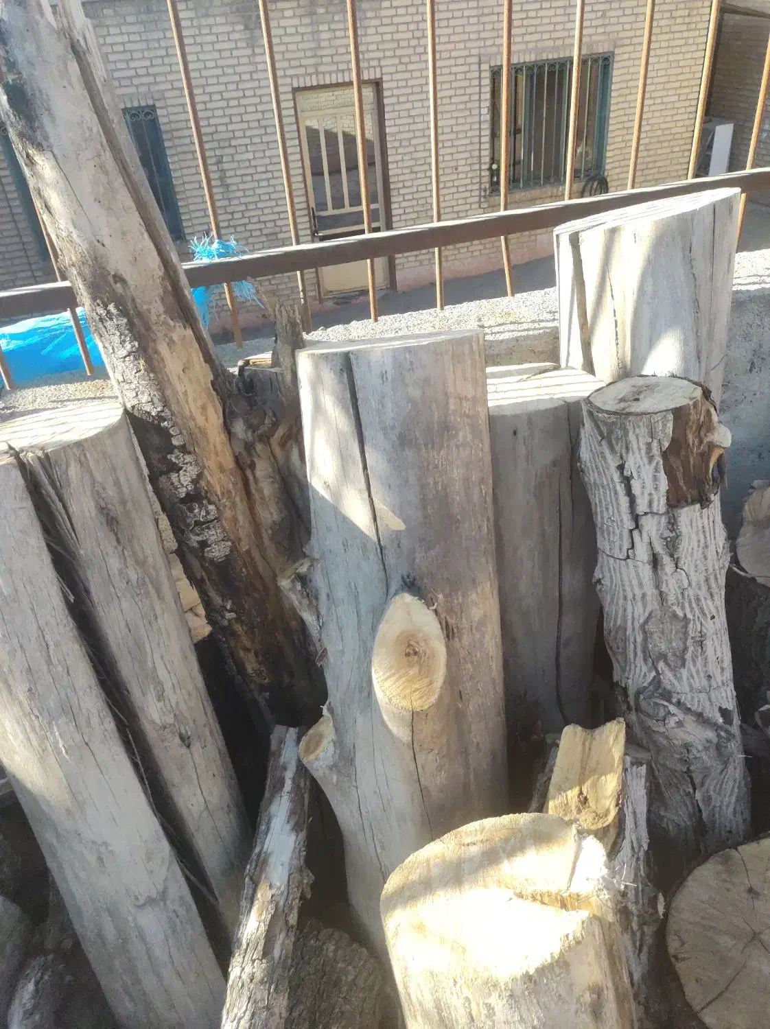 خریدار ضایعات چوب تخته برشکاری وهرس کاری|خدمات باغبانی و درختکاری|هشتگرد, شهرک اداری|دیوار