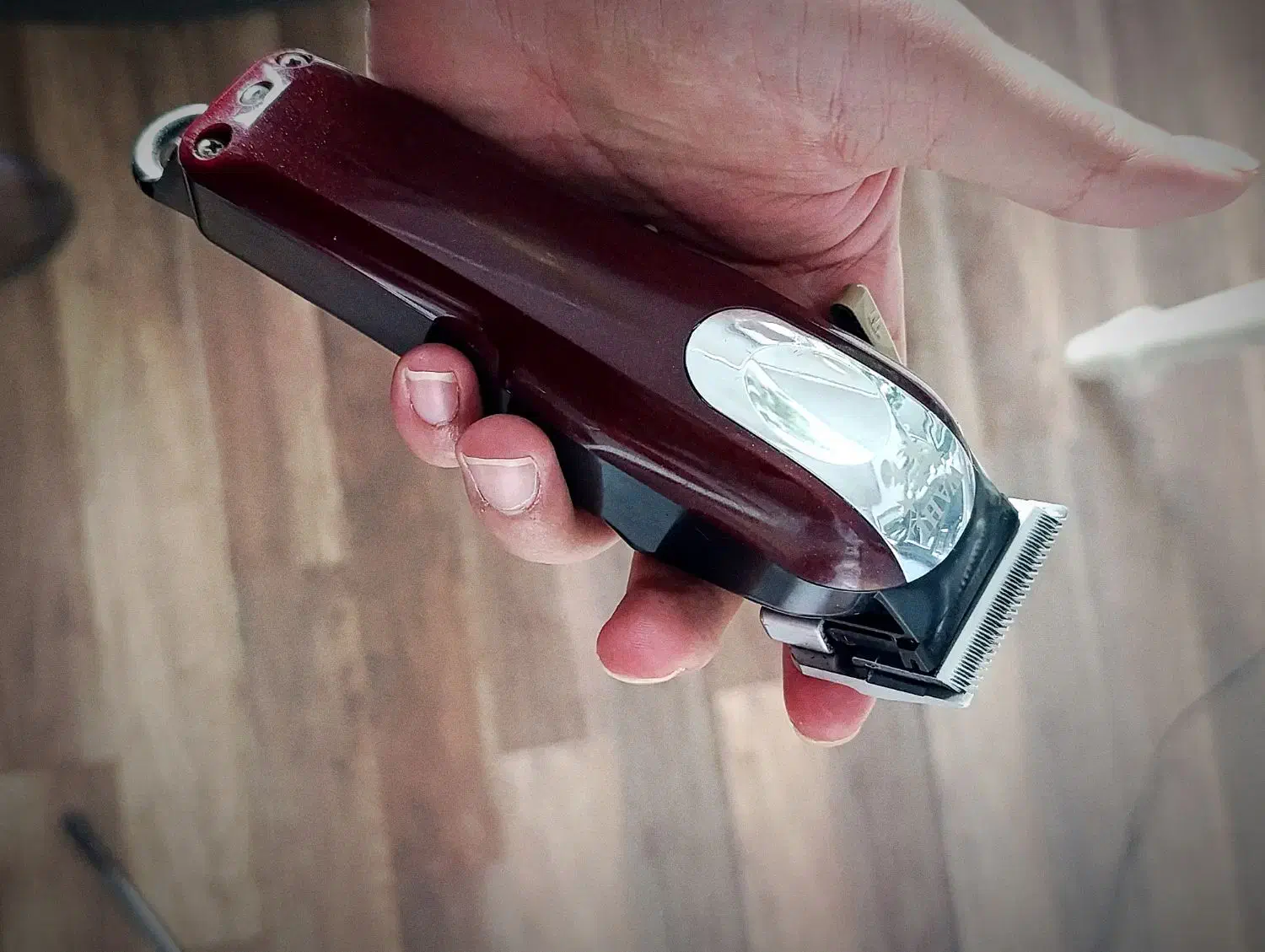 ماشین اصلاح وال|آرایشگاه و سالن‌های زیبایی|تربت‌حیدریه, قائم|دیوار