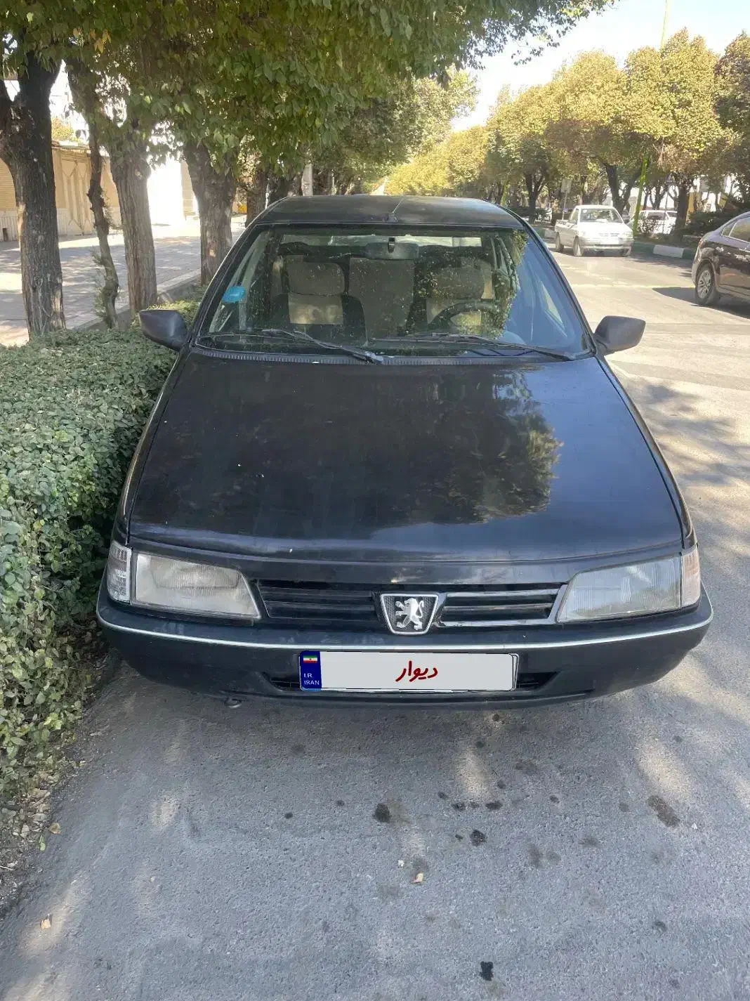 405 مشکی مدل ۸۳|خودرو سواری و وانت|شهرضا, |دیوار