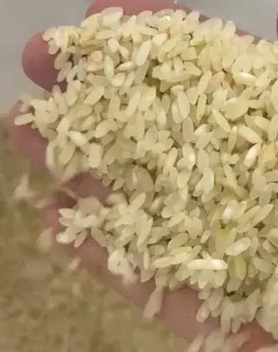 برنج ایرانی/ طارم/ فجر/کامفیروزی/عنبربو|خوردنی و آشامیدنی|اصفهان, جوزدان الیادران|دیوار