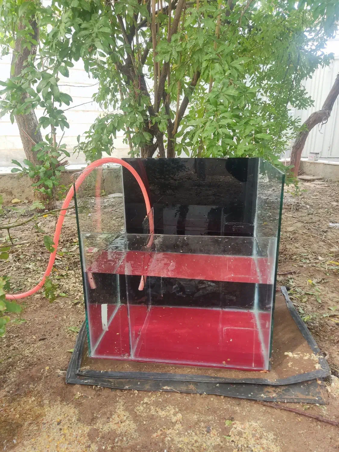 اکواریوم|ماهی|بروجرد, |دیوار