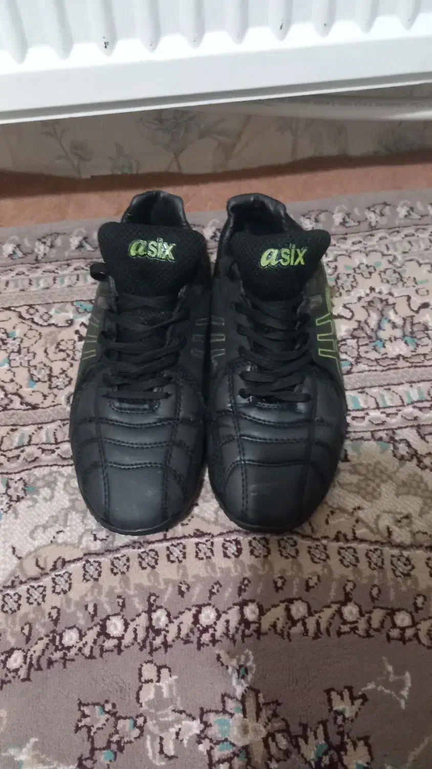 استوک|کیف، کفش، کمربند|پرند, فاز ۶|دیوار