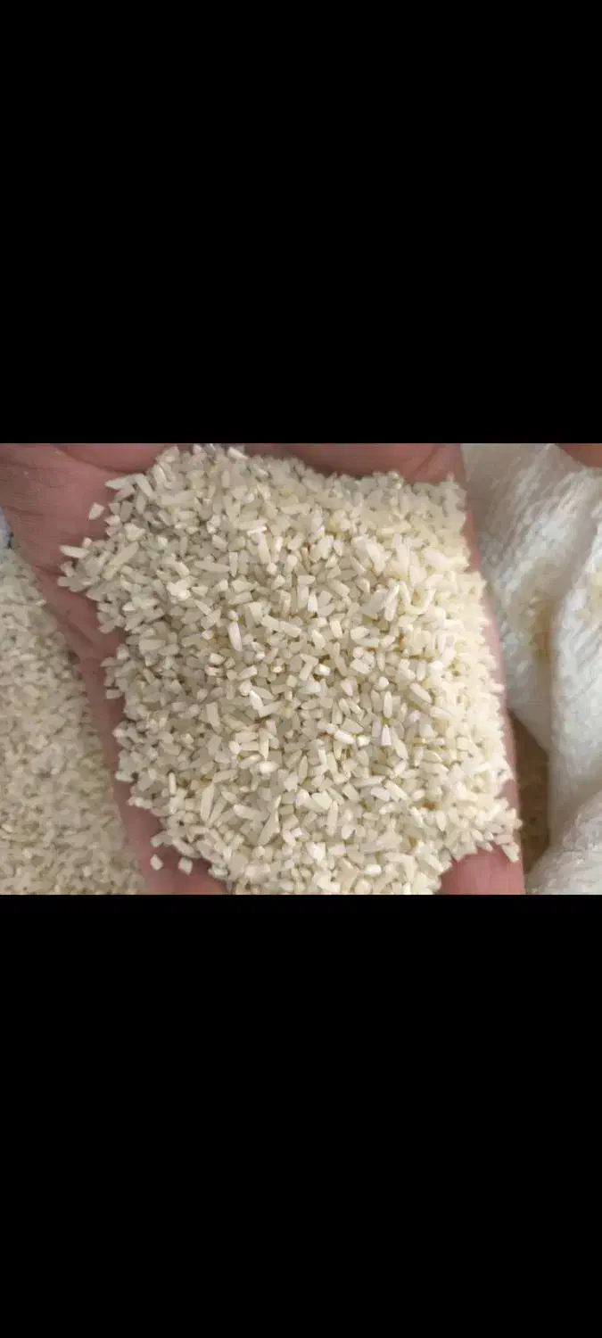 لاشه برنج هاشمی و لاشه برنج صدری|خوردنی و آشامیدنی|رشت, جهاد|دیوار