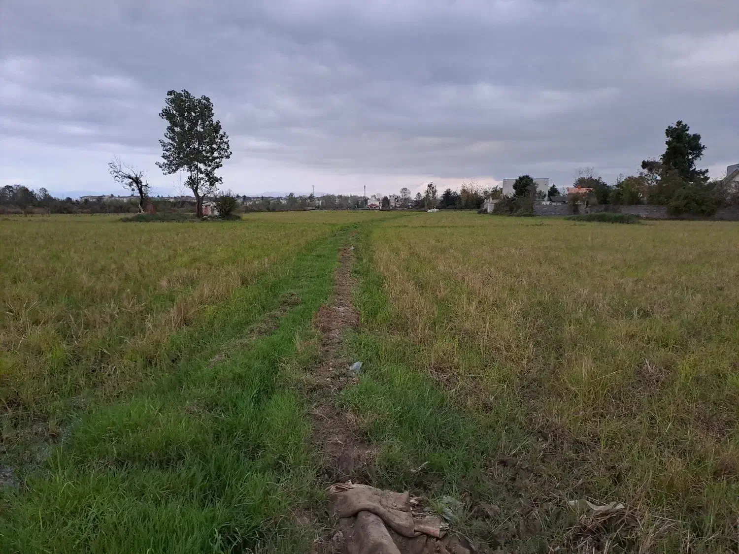 زمین ۱۸۰۰۰متری دربلوار لاکان کوچه ملکی|فروش زمین و ملک کلنگی|رشت, لاکان شهر|دیوار