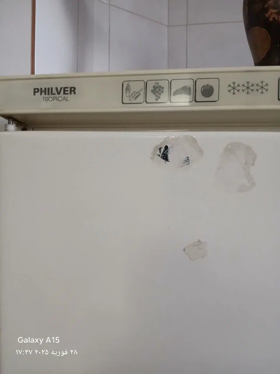 یخچال فریزر|یخچال و فریزر|یزد, |دیوار