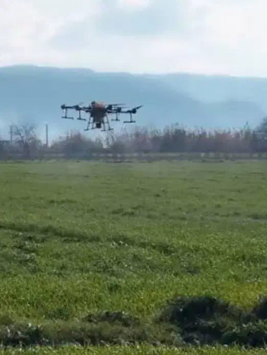 سم پاشی با پهباد ( پهپاد )|خدمات باغبانی و درختکاری|جیرفت, |دیوار